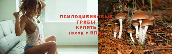 альфа пвп Протвино