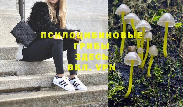 индика Алексеевка