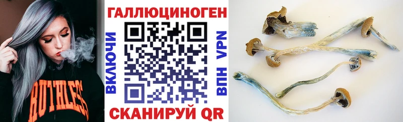 Галлюциногенные грибы мицелий  купить закладку  Петушки 