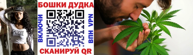 Шишки марихуана Amnesia  где купить   Петушки 